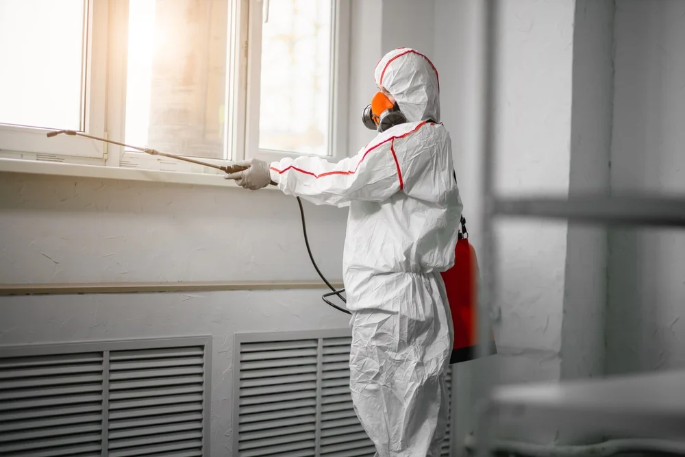 Professional mold remediation services in Minden, TX